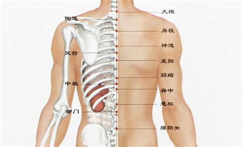 女人背后有痣|背部有痣图解大全 背部有痣的人看命运